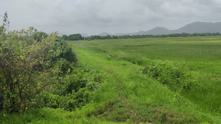 undefined, seawoods  1089 Sq.Ft. Plot In Seawoods Navi Mumbai 9001358