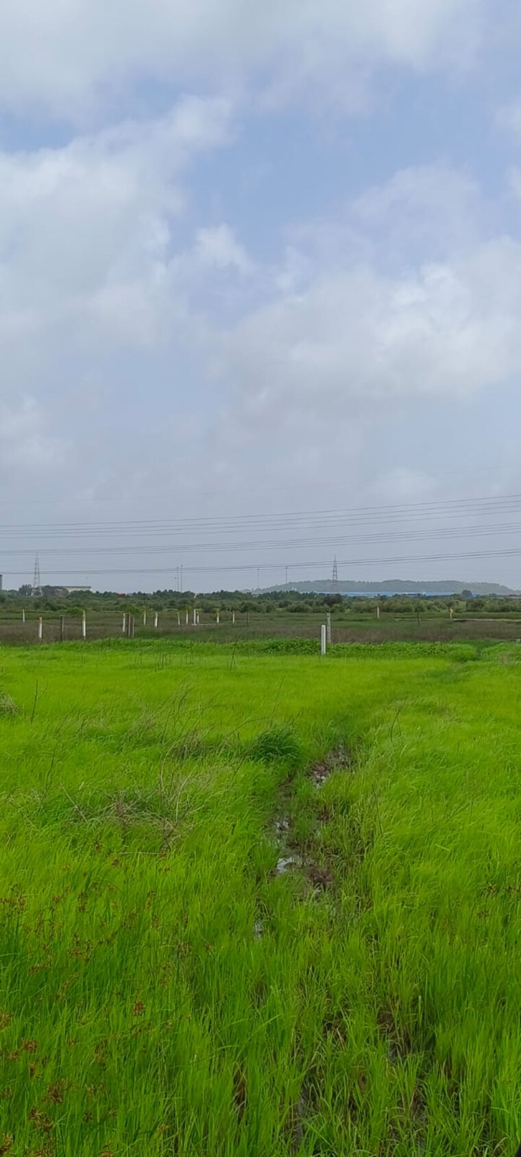 undefined, bandra east Commercial Land 1089 Sq.Ft. In Bandra East Mumbai 9001377