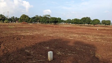 Plot Area in  Plot at Devanahalli – for Sale