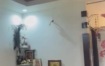 4 BHK Apartment For Rent in Sector 46