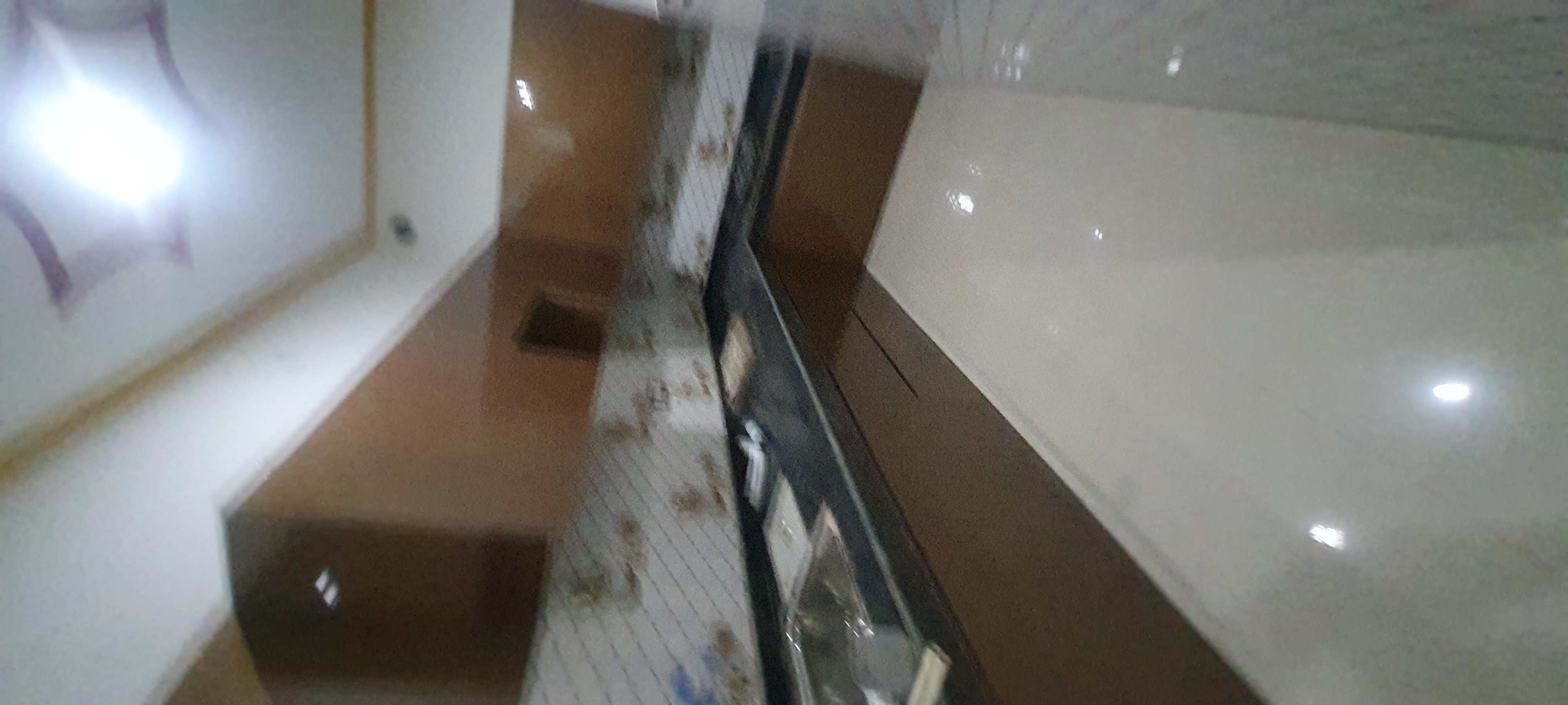 3.5 BHK + Servant Room Independent House For Sale in Ballabgarh Adarsh Nagar