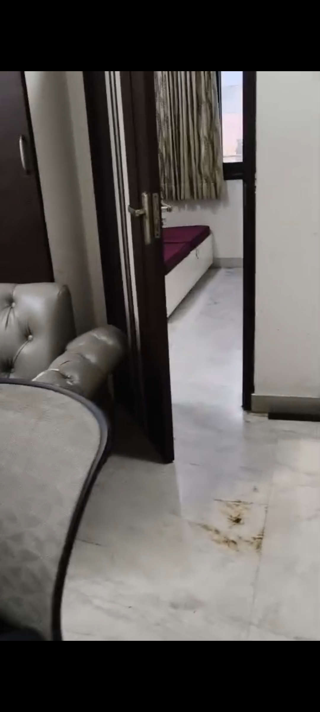 3 BHK Builder Floor For Rent in Pitampura