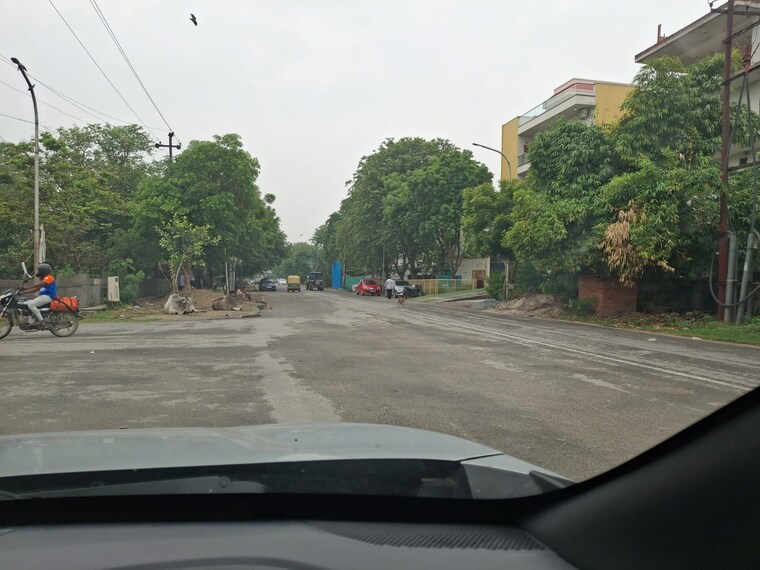 Garden, sector 72  555 Sq.Mt. Plot In Sector 72 Noida 9001663