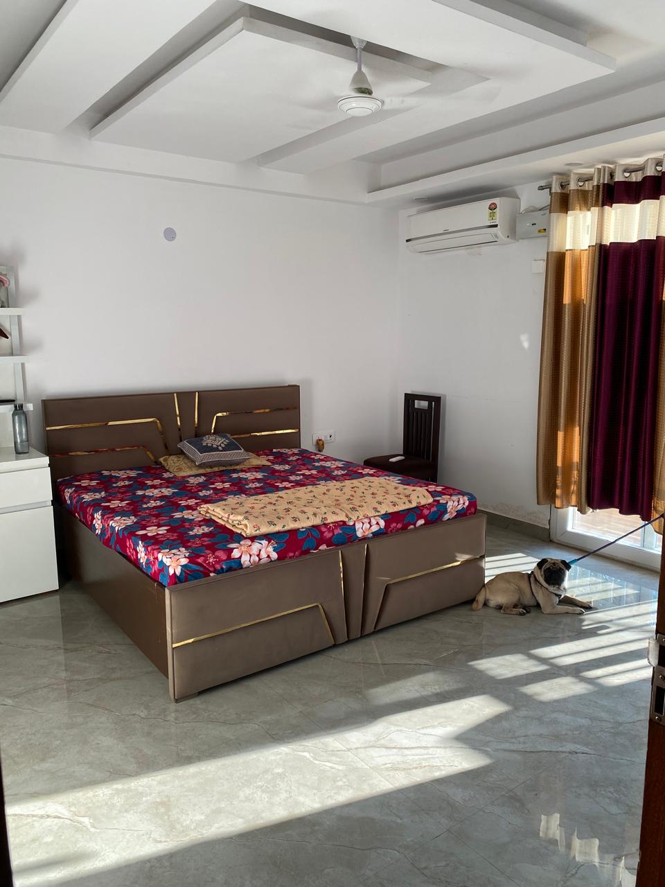 3 BHK Builder Floor For Rent in Saket
