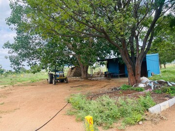 Plot Area in  Plot at Bhongiri Warangal Highway – for Sale