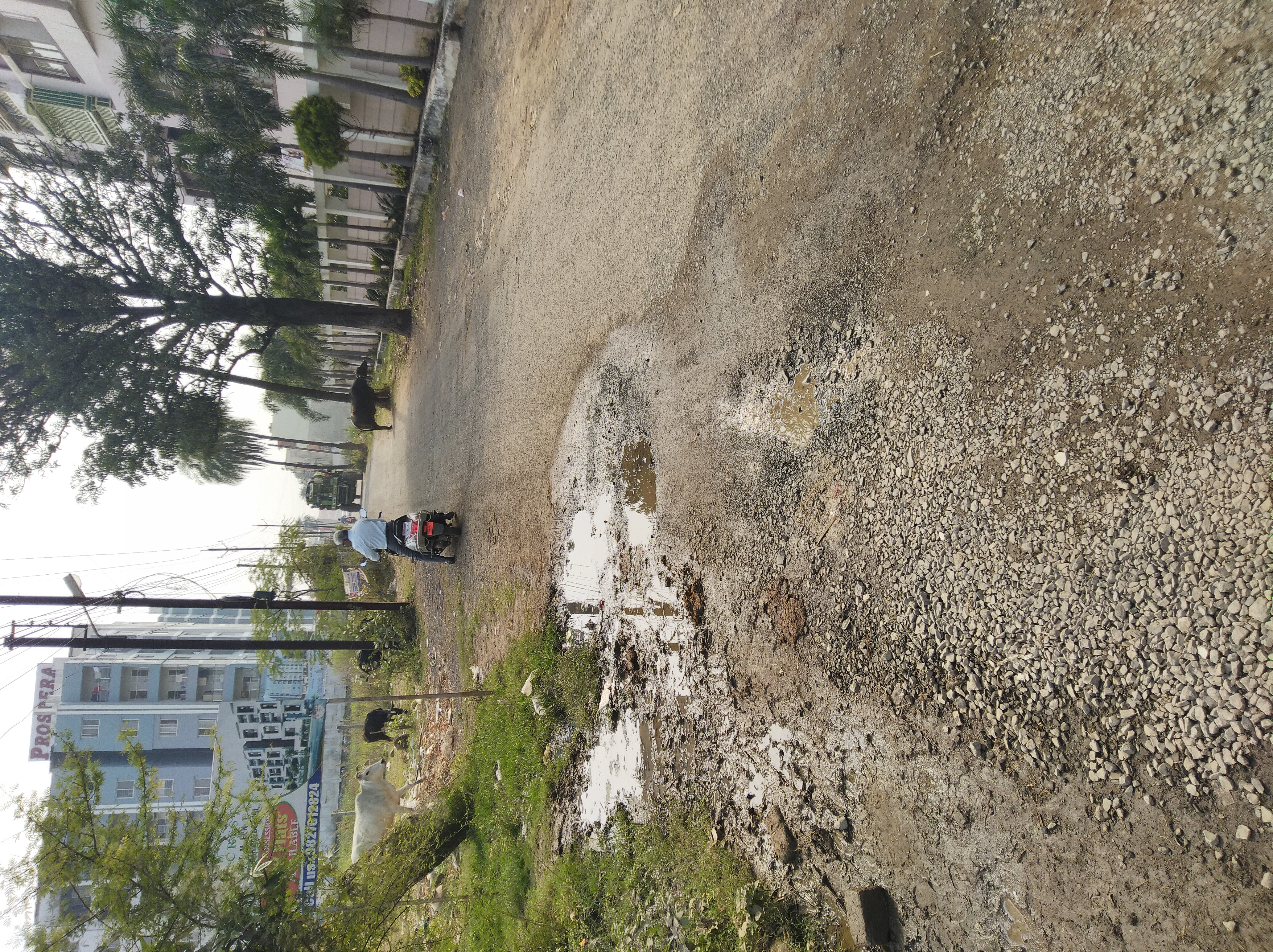 Land For Sale in Laharpur