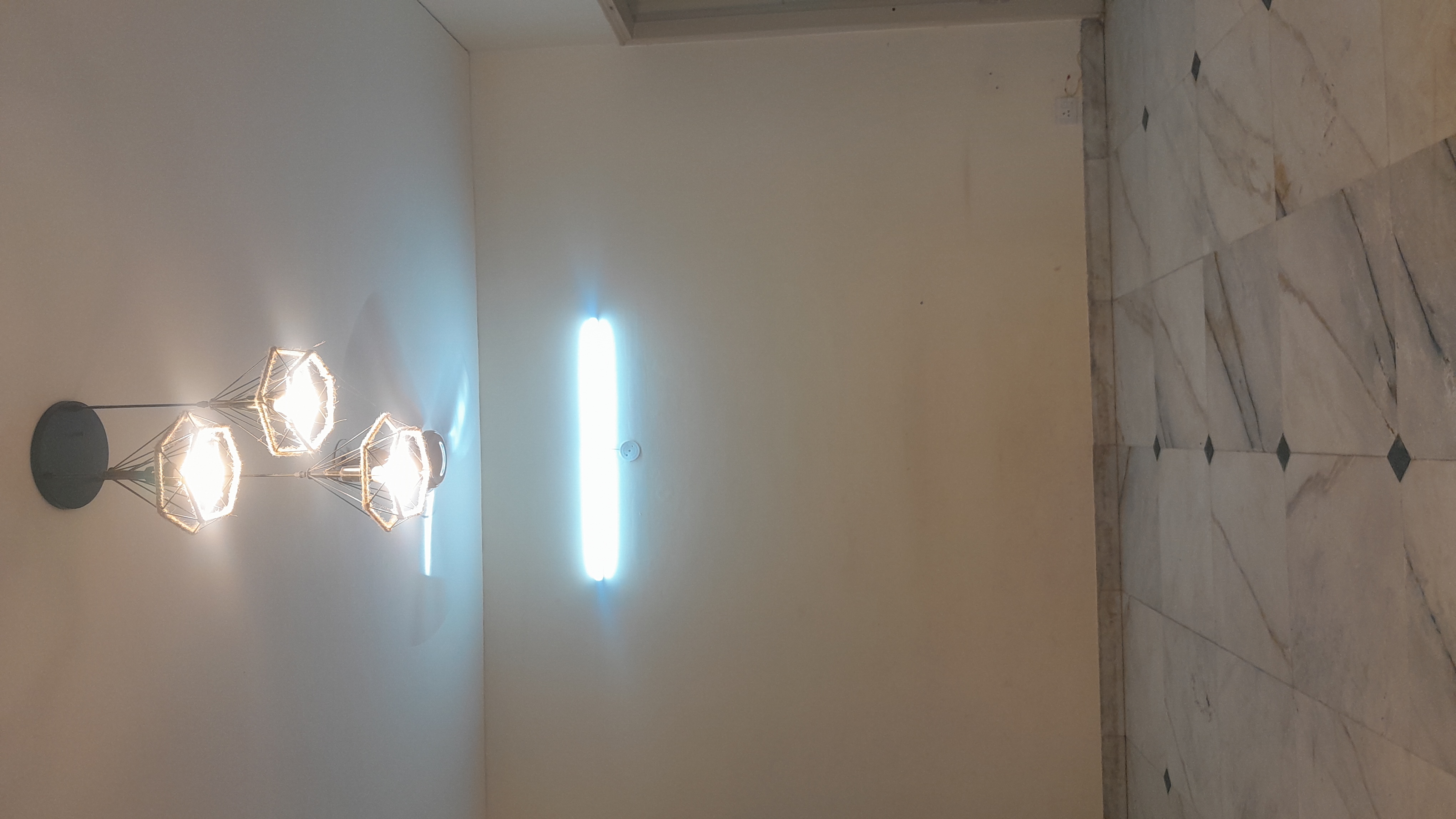 3 BHK + Pooja Room Builder Floor For Rent in Unitech South City II