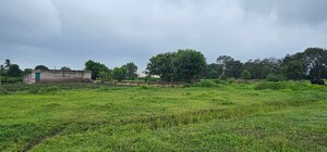 Plot Area in  Land at Ojhar – for Sale
