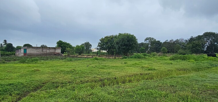 undefined, ojhar Commercial Land 1900 Sq.Ft. In Ojhar Nashik 9001875