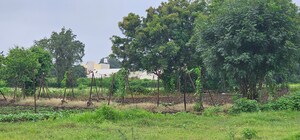  Land – Garden View at Ojhar - for Sale