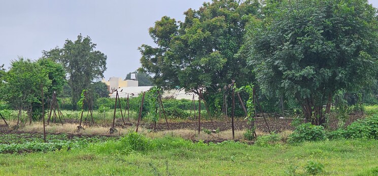 Garden, ojhar Commercial Land 1900 Sq.Ft. In Ojhar Nashik 9001875