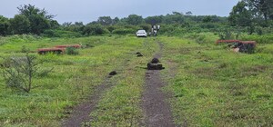 Plot Area in  Land at Ojhar – for Sale