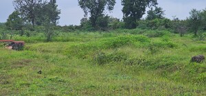 Plot Area in  Land at Ojhar – for Sale
