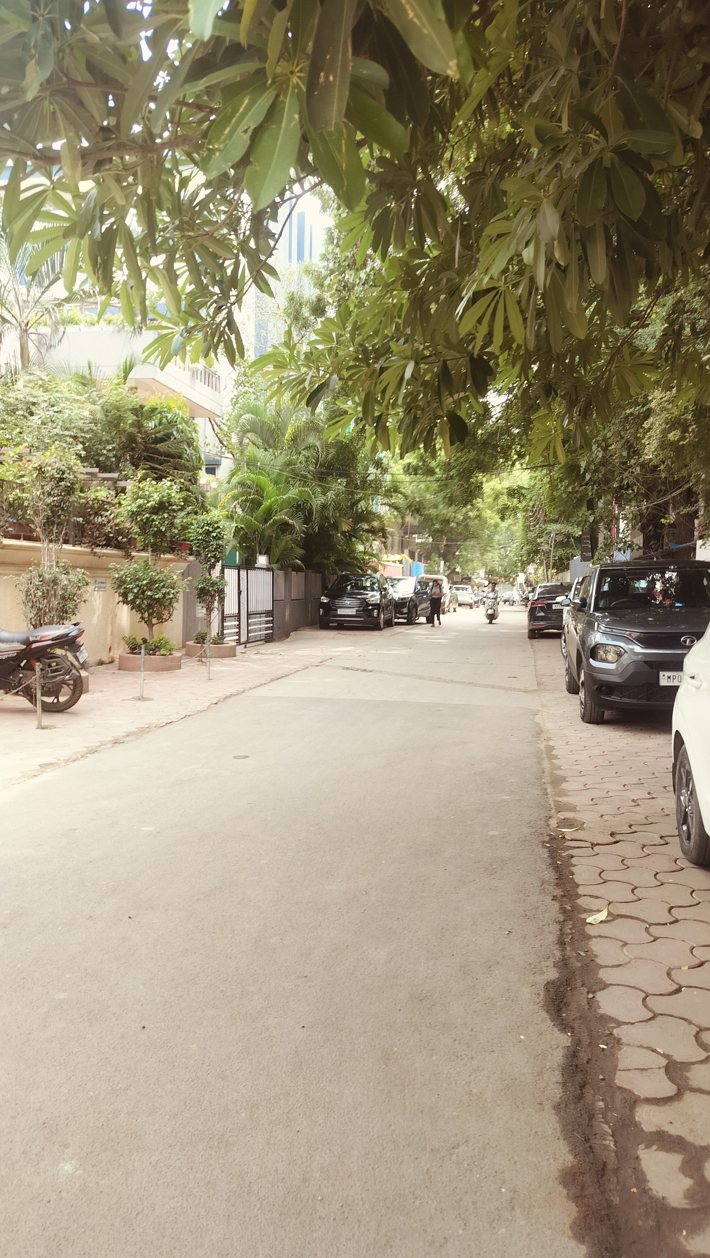 Plot For Sale in Mangaliya Main Road Proje