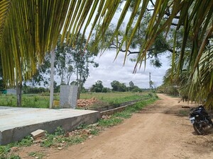 Plot Area in  Plot at Rt Nagar – for Sale