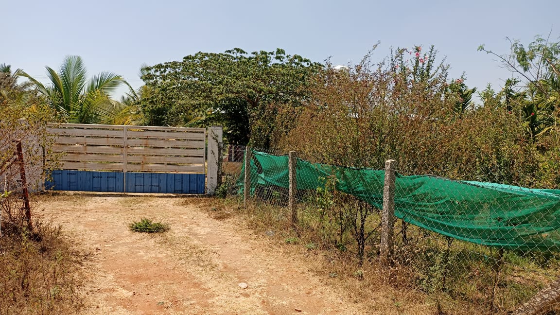 Plot For Sale in RT Nagar