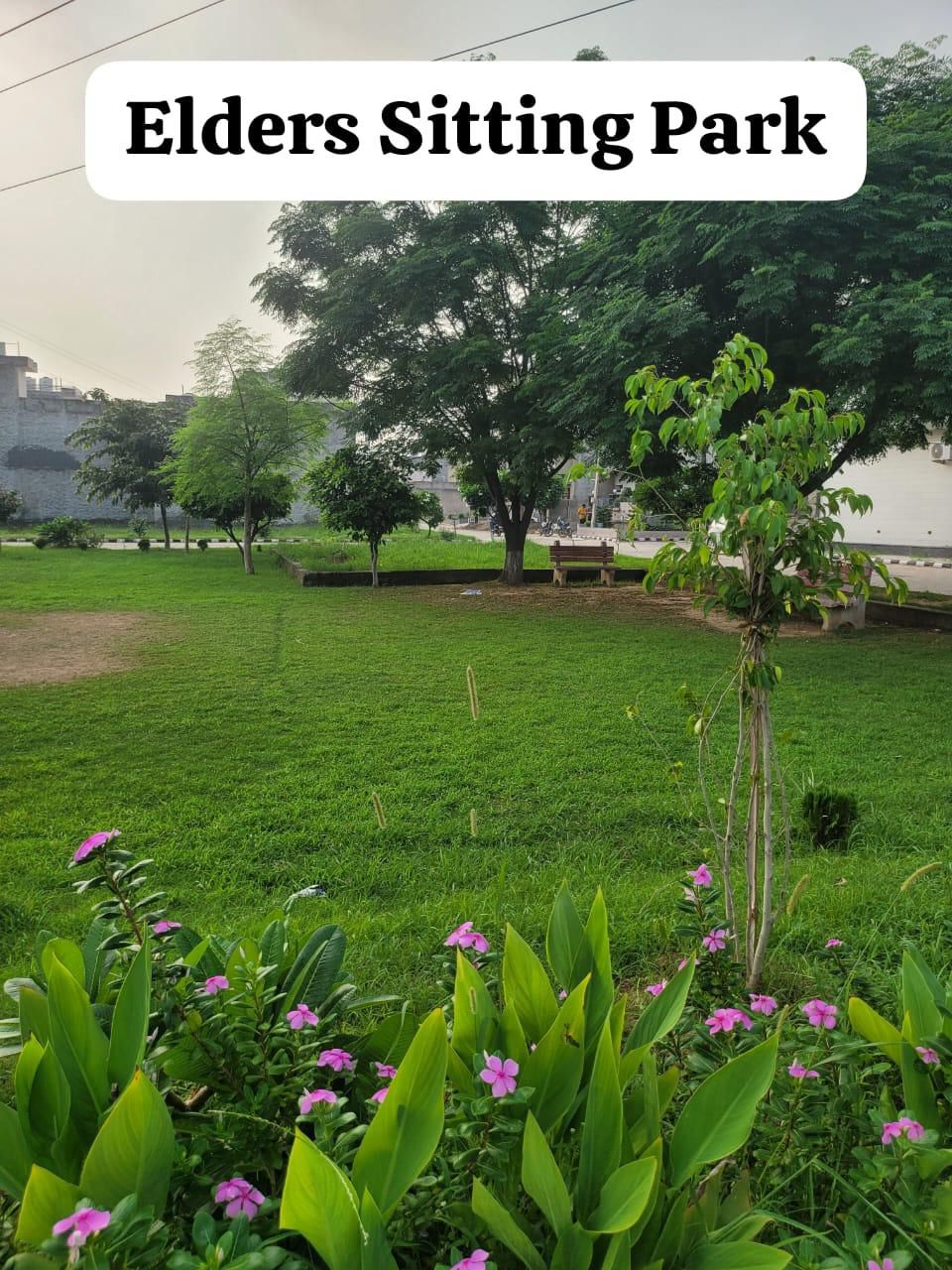 Plot For Sale in SBP City Of Dreams Zirakpur