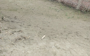 Plot For Sale in Beldarichak