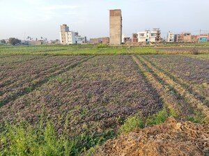  Land For Sale in Bihta