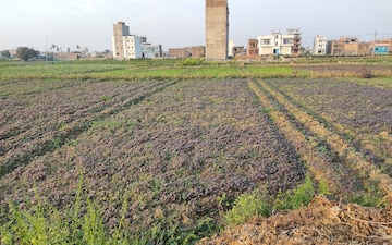 Land For Sale in Bihta