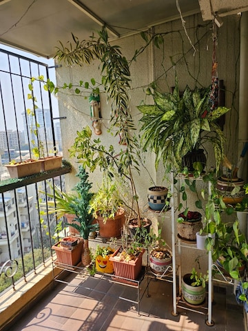 Balcony in 2 BHK Apartment at Naren Bliss Phase I, Magarpatta Road – for Rent
