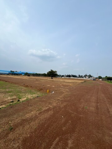  Plot For Sale in Mandir Hasaud