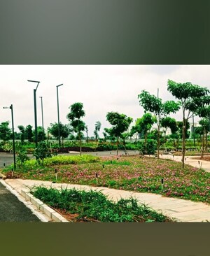 Plot Area in 4 BHK Villa at Osman Nagar – for Sale