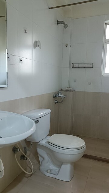 Bathroom in 1 BHK Apartment at Hiranandani Estate, Ghodbunder Road – for Rent
