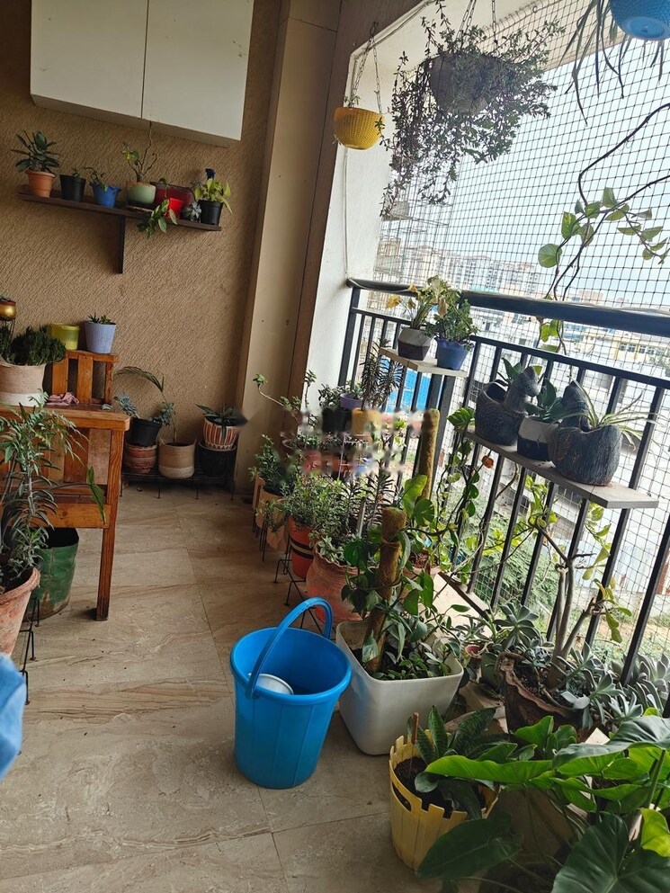 Gym, sterling-ascentia 3 Bedroom 1319 Sq.Ft. Apartment In Bellandur Bangalore 9002617