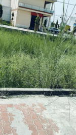 851 Sq.Yd. Plot in Patanjali Phase 1