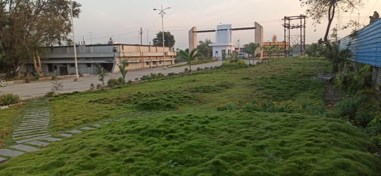 Garden, godrej-orchard-estate  2450 Sq.Ft. Plot In Besa Nagpur 9002817