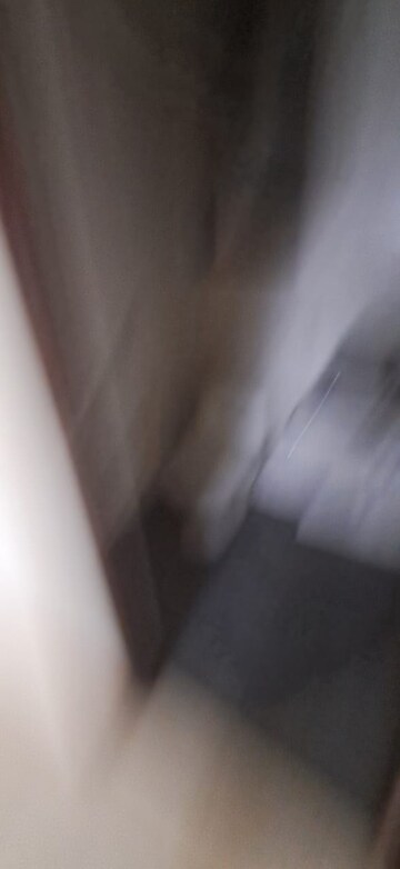 Room in 2 BHK Apartment at Kalpataru Paramount, Kapur Bawdi – for Rent