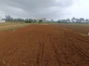 Plot Area in 2 BHK Independent House at Bathlapalli – for Sale