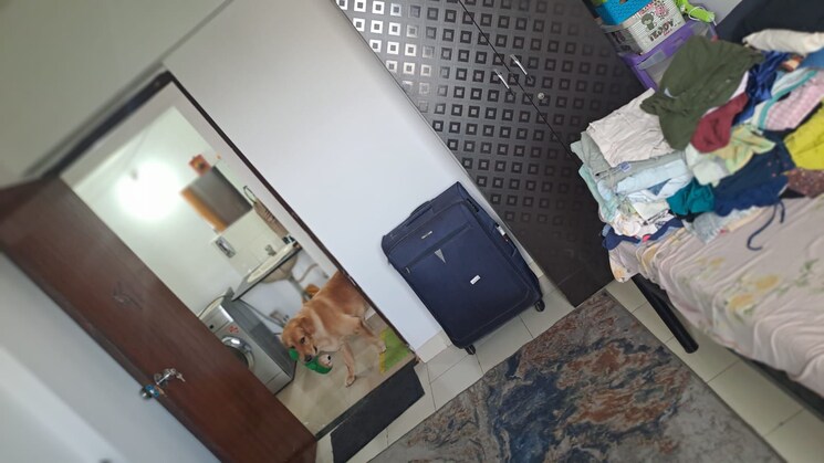 undefined, gera-foliage 2 Bedroom 1000 Sq.Ft. Apartment In Viman Nagar Pune 9002994