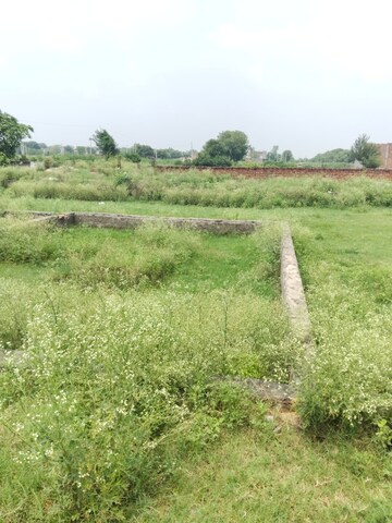 Plot Area in  Plot at Khodna Kalan – for Sale
