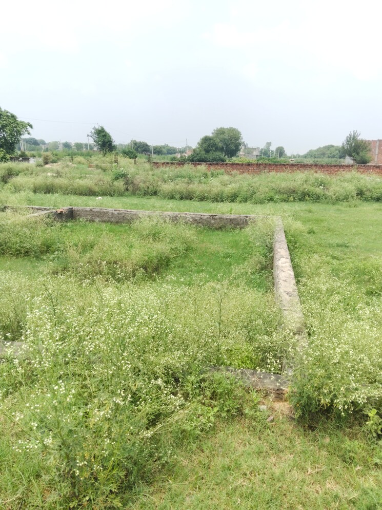 undefined, khodna kalan  60 Sq.Yd. Plot In Khodna Kalan Greater Noida 9003026