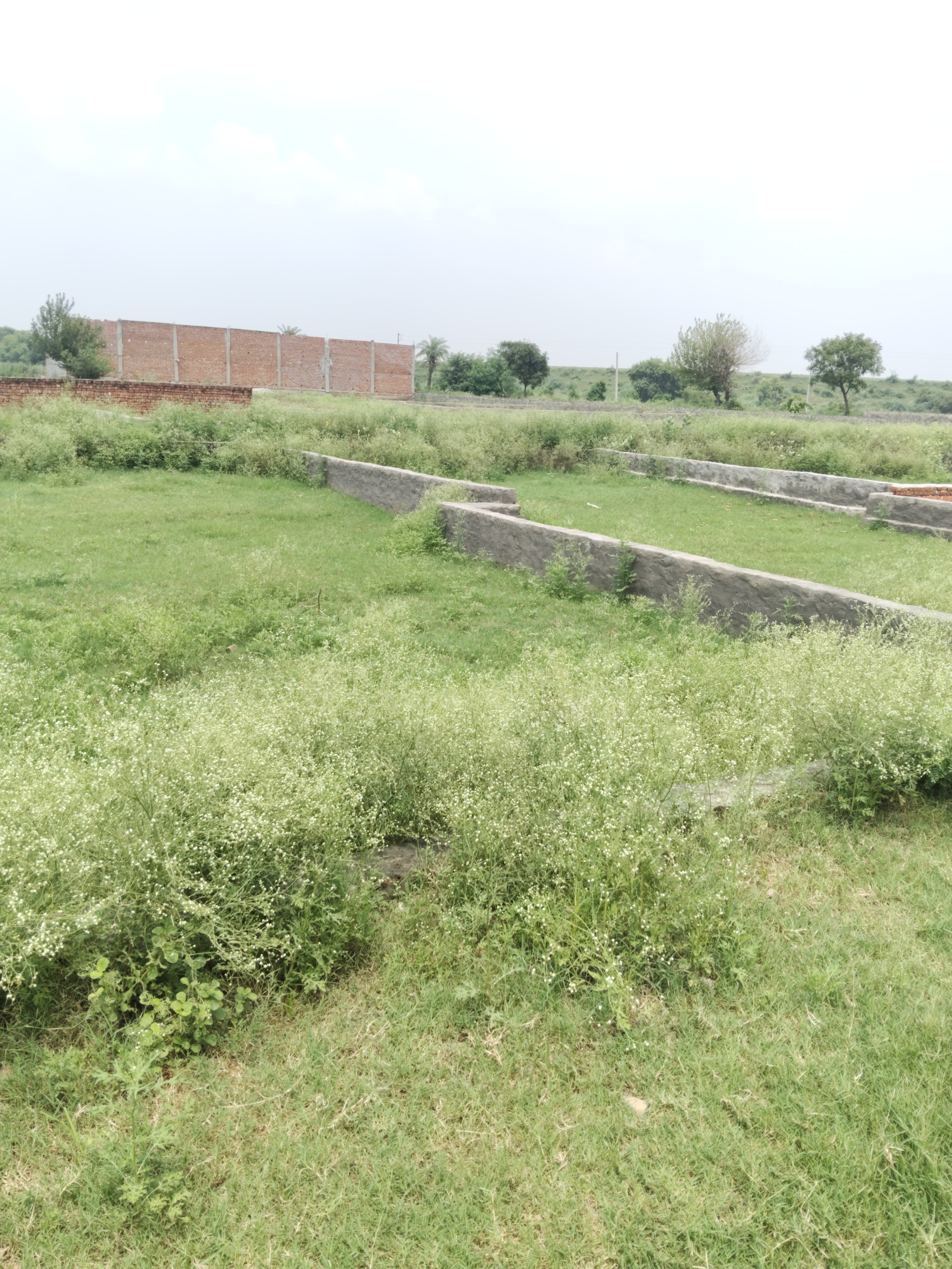 Plot For Sale in Rudra Enclave 