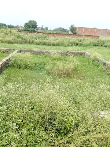 Plot Area in  Plot at Khodna Kalan – for Sale