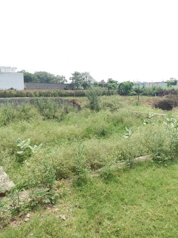 Plot Area in  Plot at Khodna Kalan – for Sale
