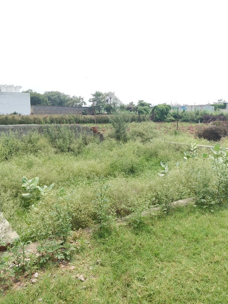 undefined, khodna kalan  60 Sq.Yd. Plot In Khodna Kalan Greater Noida 9003026