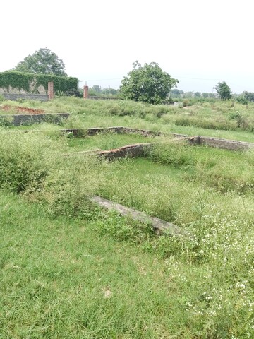 Plot Area in  Plot at Khodna Kalan – for Sale