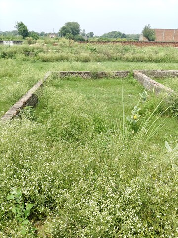 Plot Area in  Plot at Khodna Kalan – for Sale