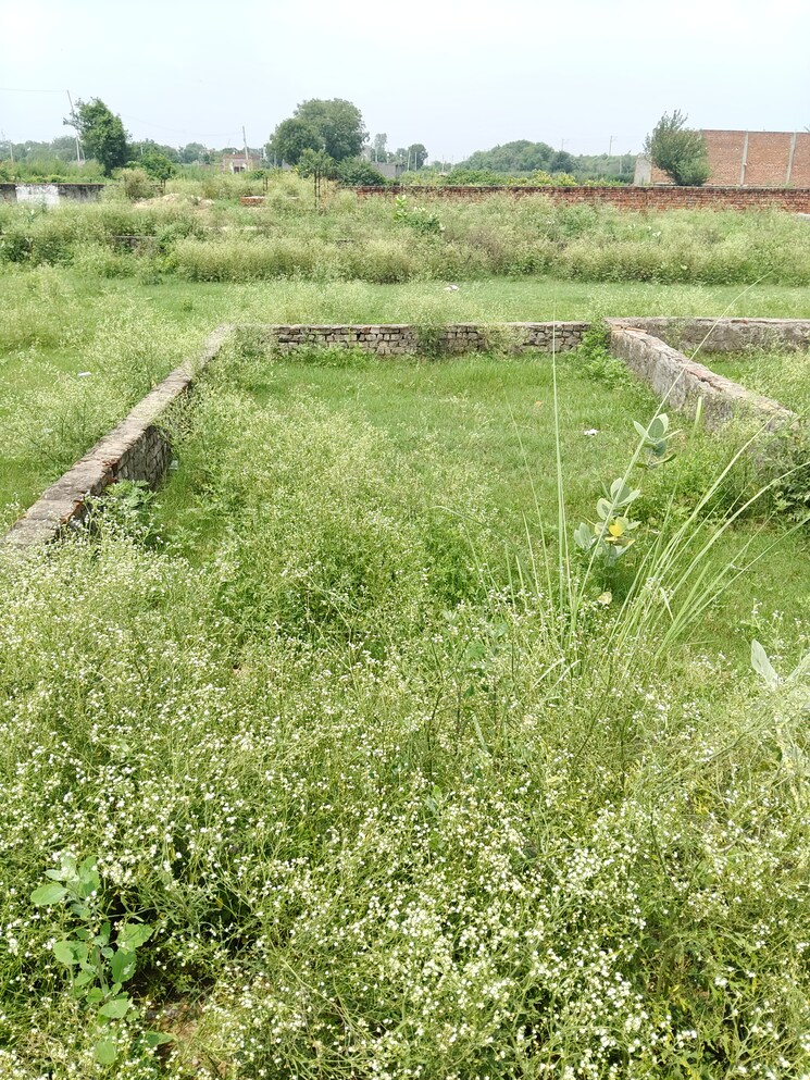 undefined, khodna kalan  60 Sq.Yd. Plot In Khodna Kalan Greater Noida 9003026