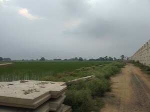 Land For Sale in Kurali