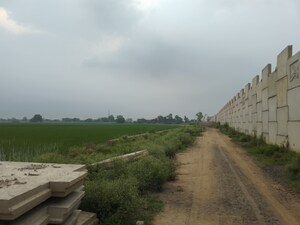 Plot Area in  Land at Kurali – for Sale