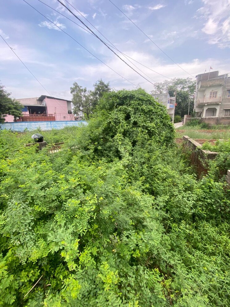 Garden, mithanpura  2300 Sq.Ft. Plot In Mithanpura Muzaffarpur 9003172