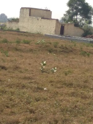 Plot Area in  Plot at Sector 162 – for Sale