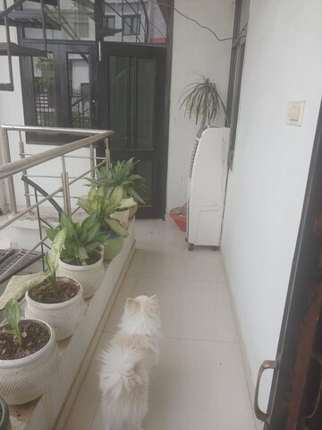 Balcony in 2 BHK Apartment at Chinhat – for Rent