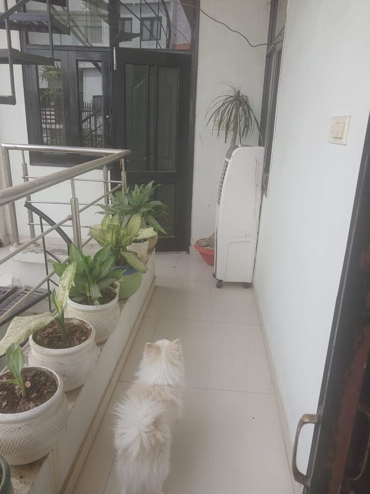 Balcony, chinhat 2 Bedroom 800 Sq.Ft. Apartment In Chinhat Lucknow 9003412