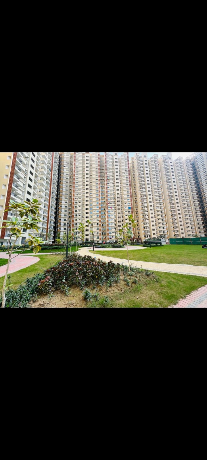 2 BHK 1105 Sq.Ft. Apartment in Panchsheel Greens II